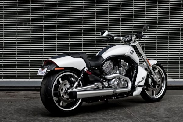 V-Rod Muscle
