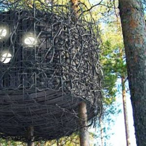 tree-hotel-birds-nest-