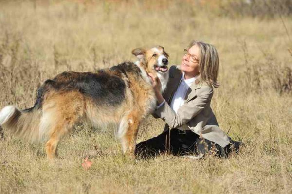 Darlingcompanion
