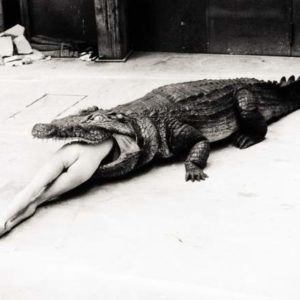 helmut newton crocodile 0eyo1_1280