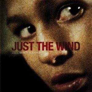 Justwindposter
