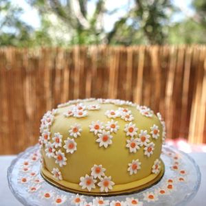 makemycake6