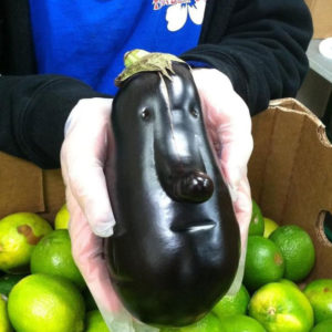 eggplant-face