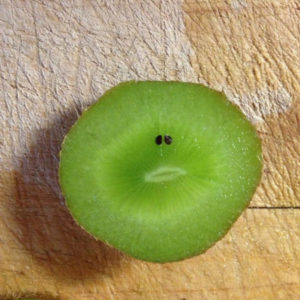 sad-kiwi