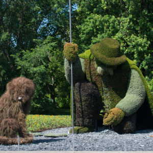 homme-qui-plantait-des-arbres-mim2013-copyright