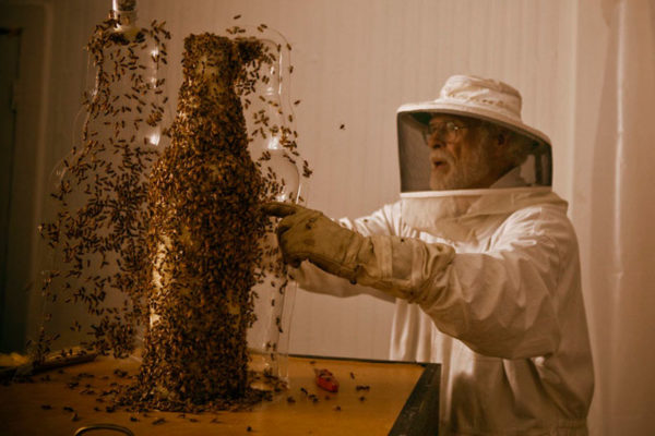 3-bee-printing-dewars-sid-lee-ebeling-group-honeycomb-sculptures-6