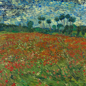 vincent-van-gogh-poppy-field-1890