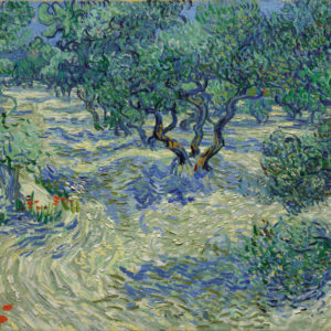 vincent_van_gogh_-_olive_orchard