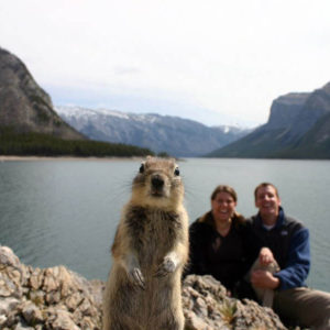 squirrel-photobomb-banff