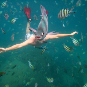 underwater-fish-photobomb-animal-photobombs