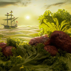 lettuce-seascape-carl-warner