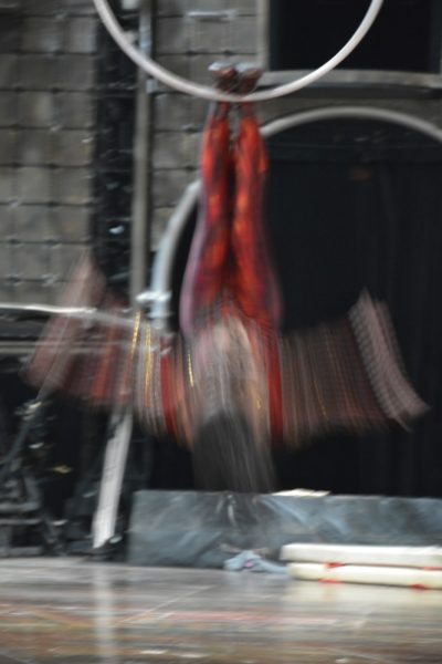 dralion17