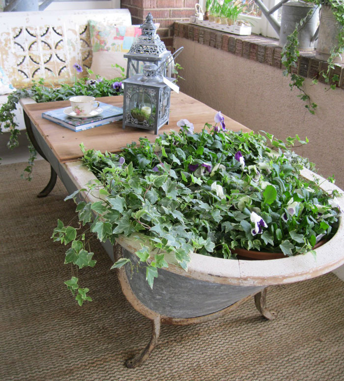 bathtub garden