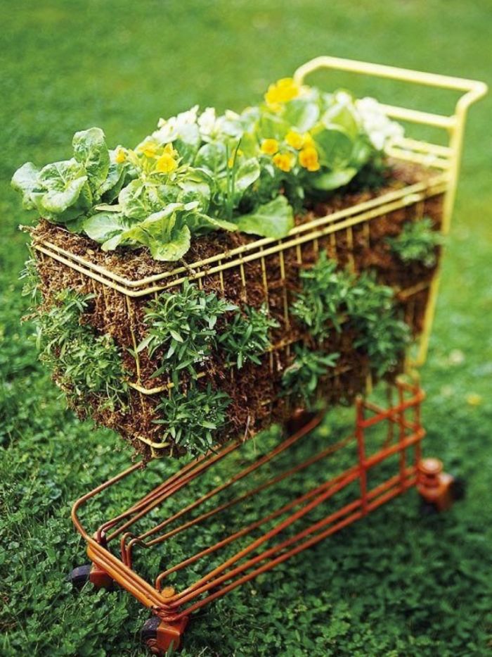 shopping cart garden