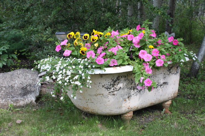 tub garden