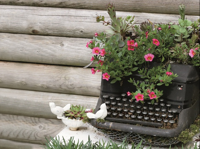 typewriter garden