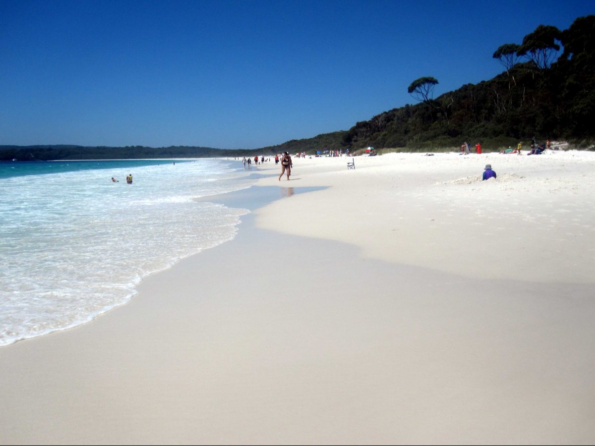 sand hyams