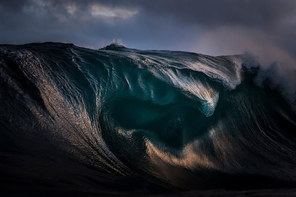 1Natural World Photograph by Ray Collins