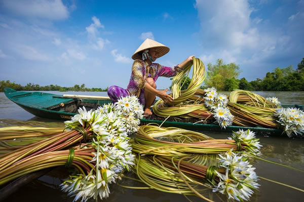 1Travel Photograph by Nhiem Hoang