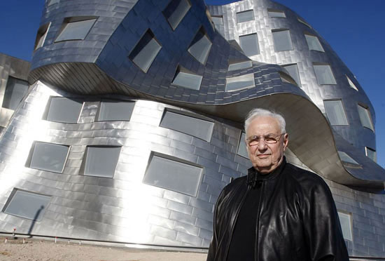 frank gehry stegi