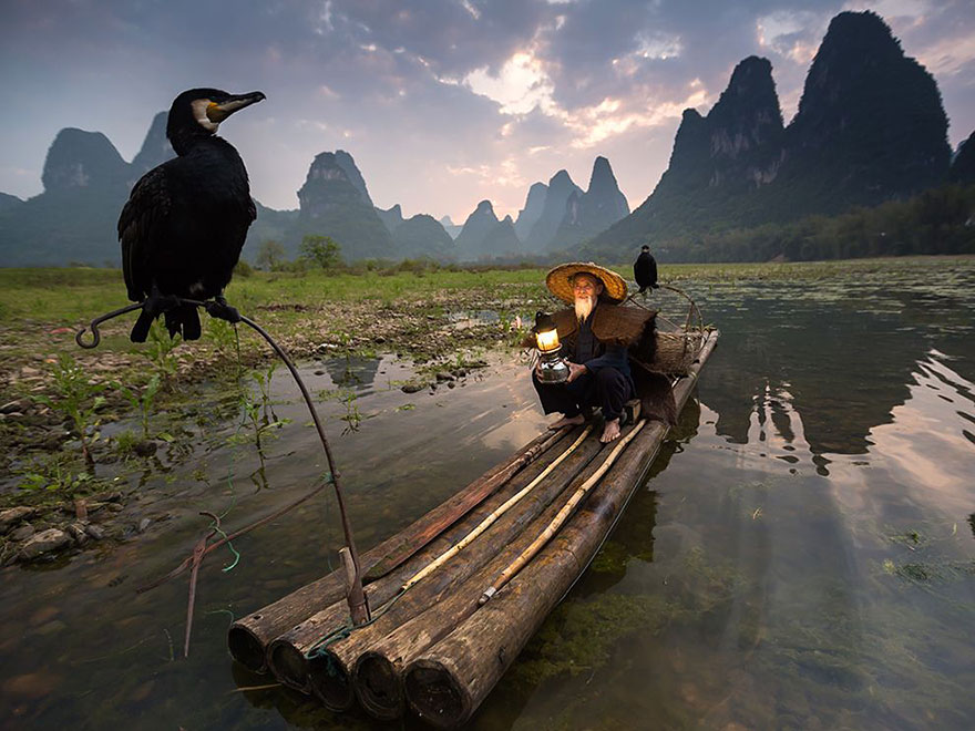 national geographic photo of the day internet favorites13