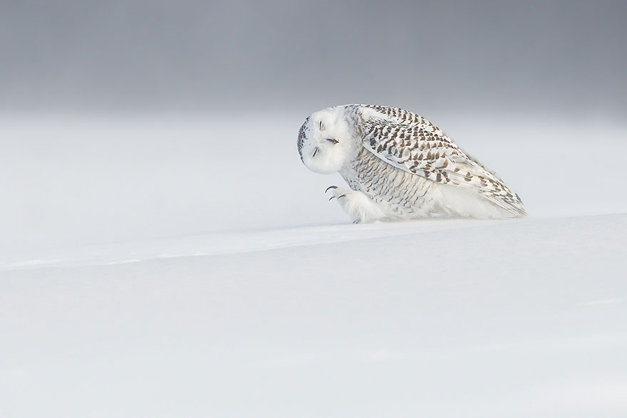 national geographic photo of the day internet favorites3