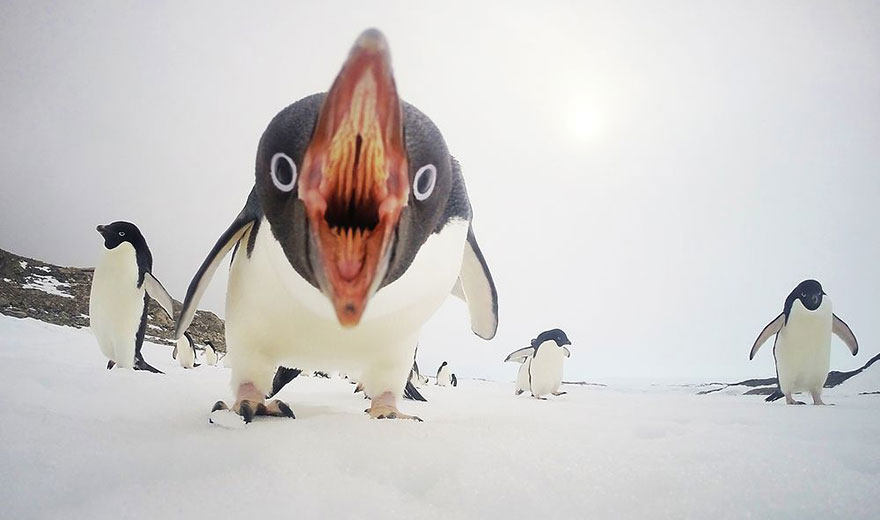 national geographic photo of the day internet favorites4
