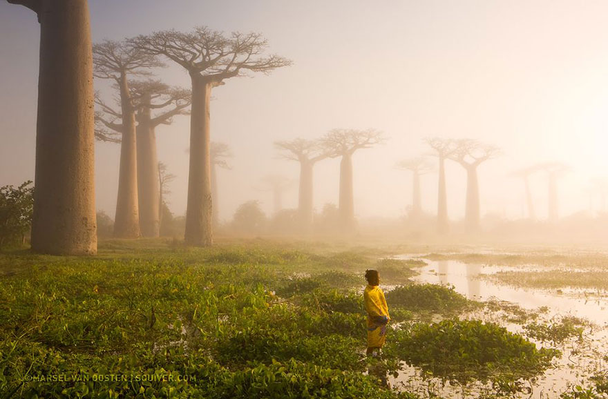 national geographic photo of the day internet favorites6