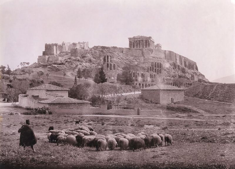 Fred Boissonnas: Βοσκός με το κοπάδι του με φόντο την Ακρόπολη, 1903 (Συλλογή  Χάρη Γιακουμή / Kallimages, Παρίσι)