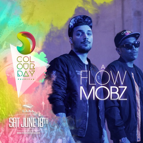 flow mobz color day festival 2016