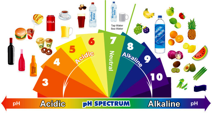 alkaline diet product image