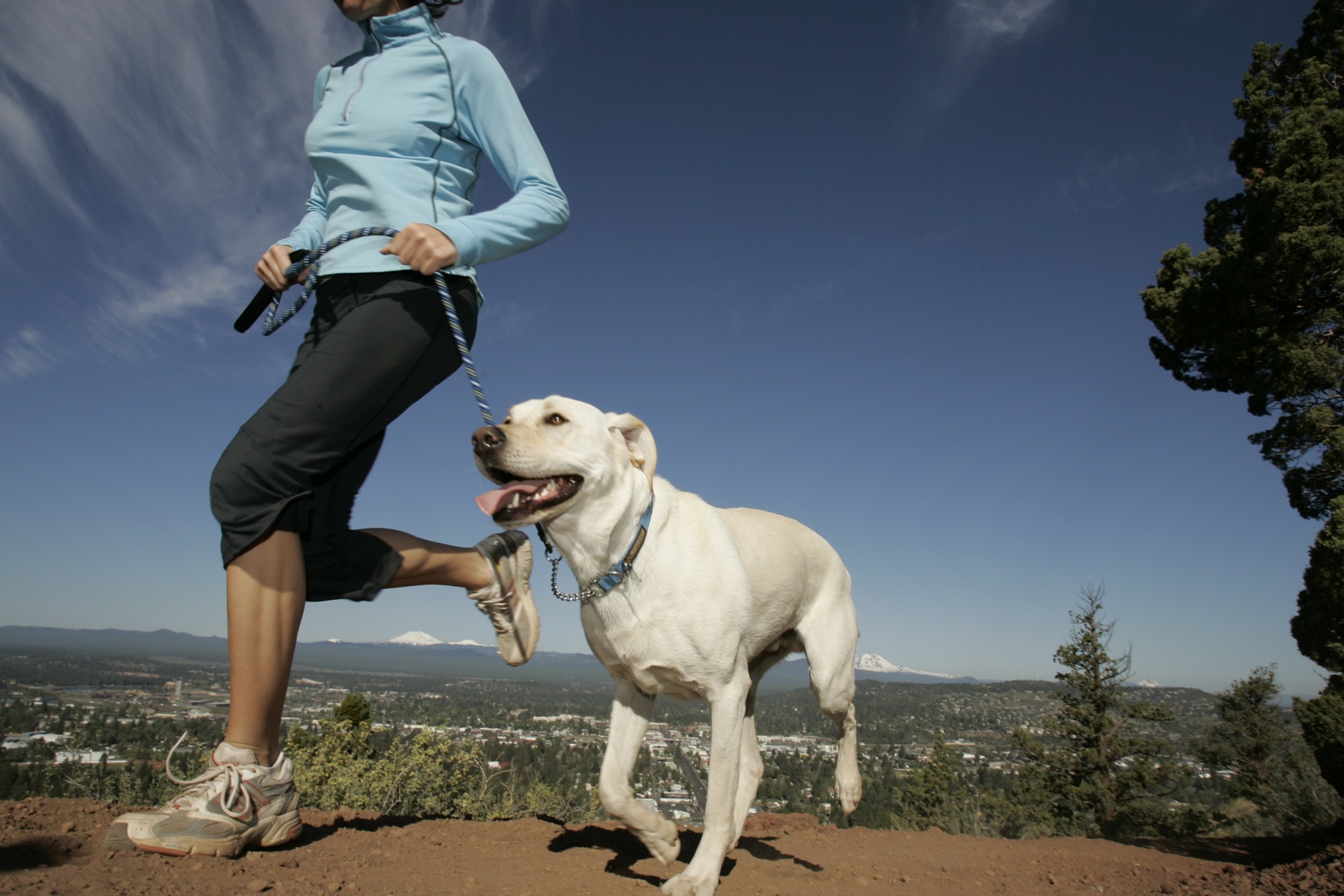 run with your dog alimos 2016