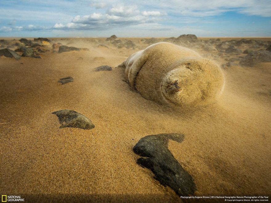 best photos national geographic contest 2016 18