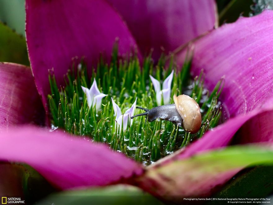 best photos national geographic contest 2016 4