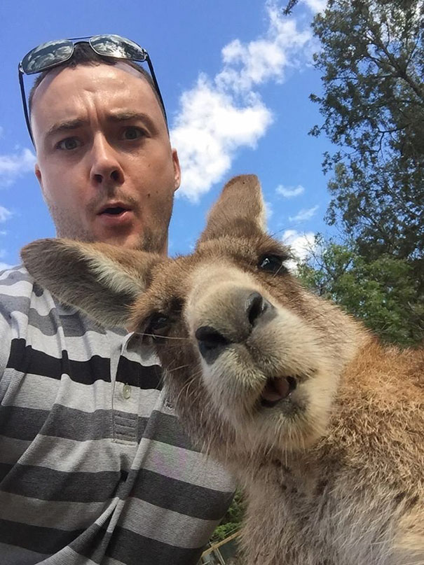 funny animal selfies 6