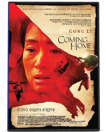 coming home imdb 2017