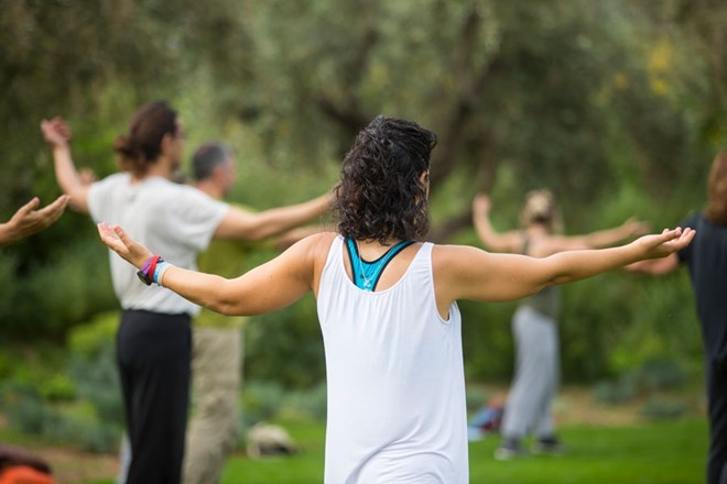 Tai chi 2017 free weekend