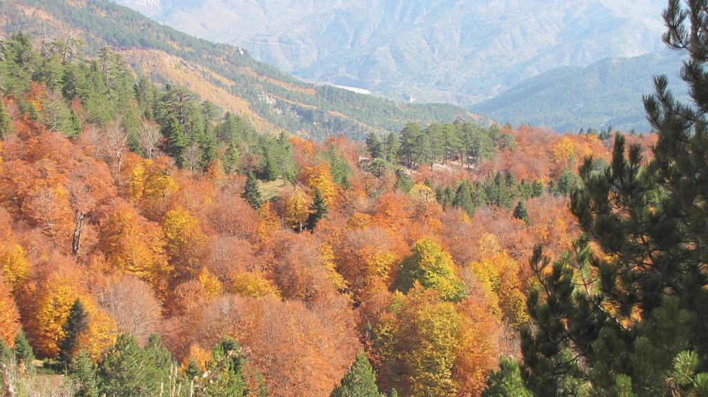 konitsa thermal center 4