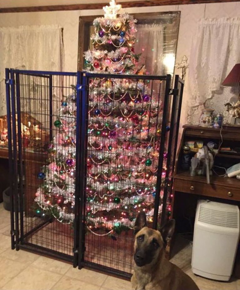 dog tree 6dek