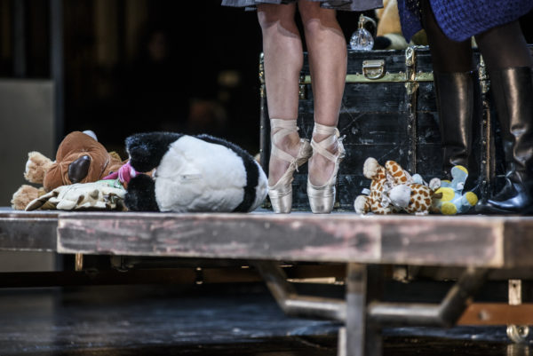 Sfagi_balletshoes