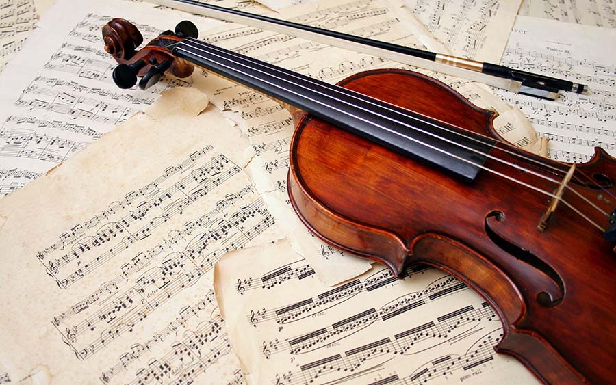 violin 900
