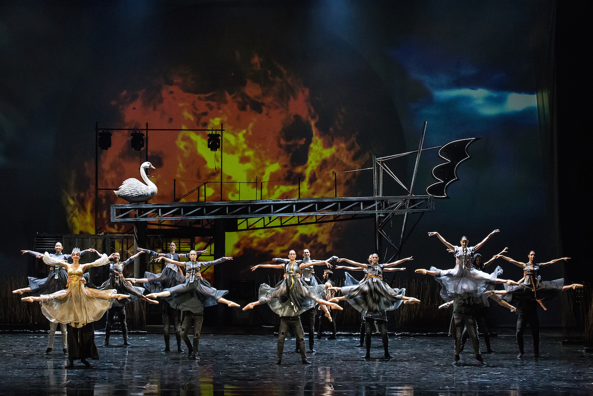 SwanLake generic22