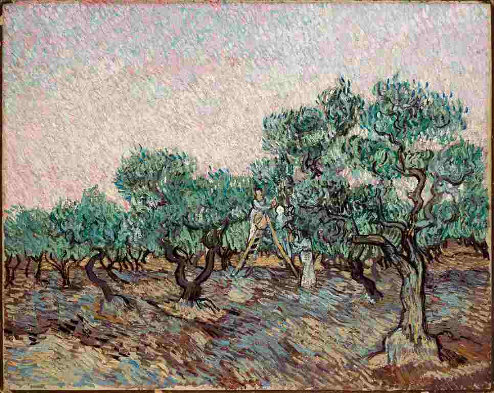 La cueillette des olives, Vincent van Gogh
