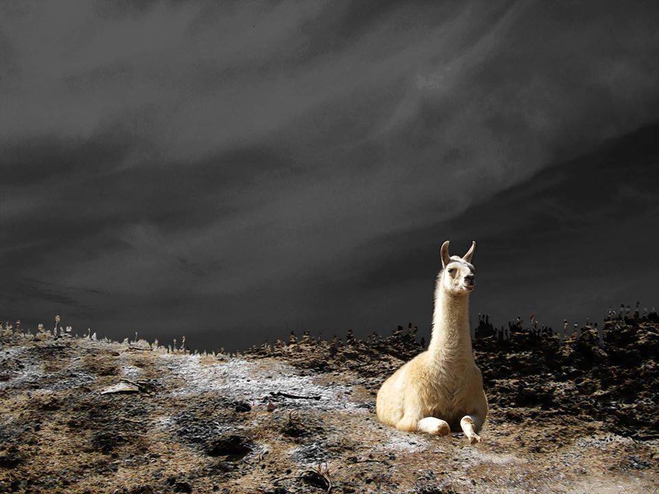 Έλενα Αρσενίδου, Until the end of the world, 40x53cm, Photomontage