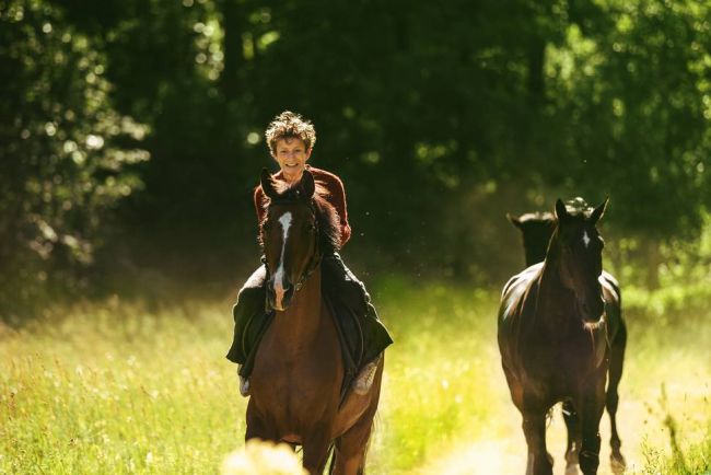 Κλέφτης Αλόγων» (Out Stealing Horses)