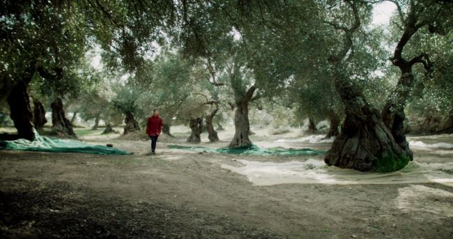 "Σπείρε τον άνεμο" από το Διεθνές Διαγωνιστικό