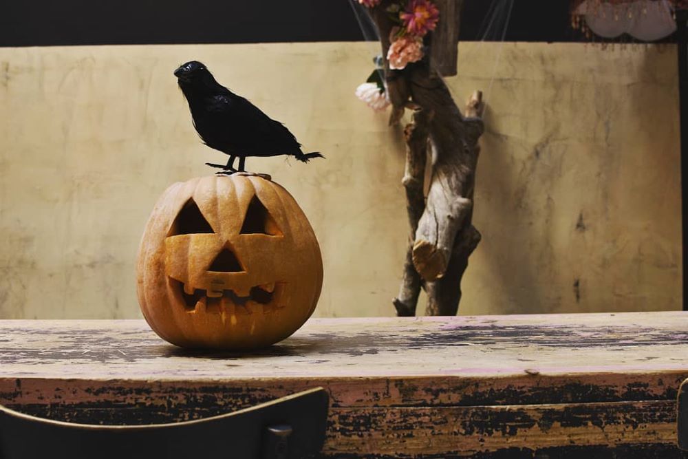 Το Noel στολίζεται και υποδέχεται το Halloween, Φωτογραφία: Noel