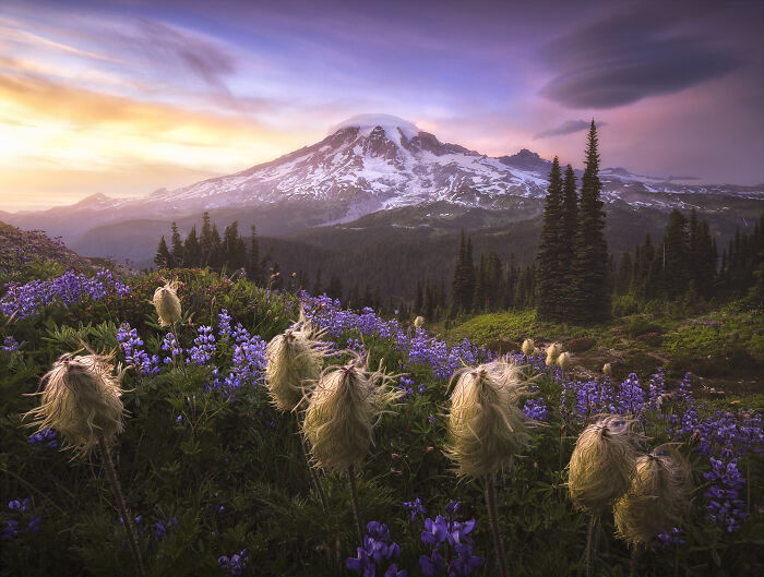 International Landscape Photographer of the Year 2020