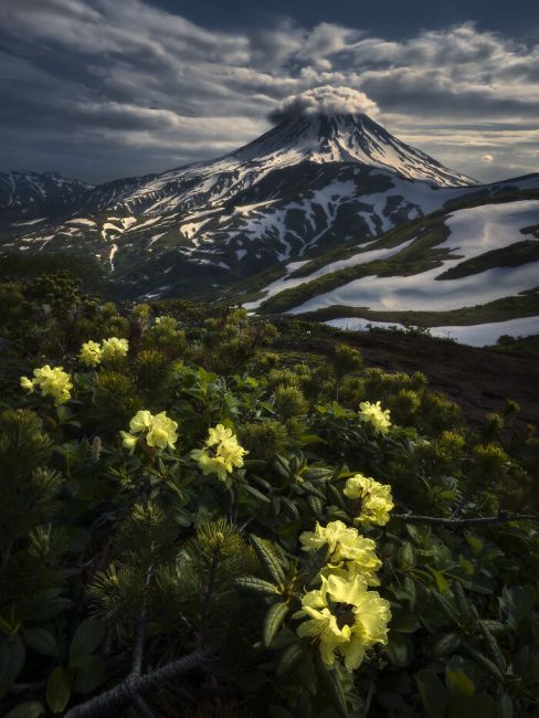 International Landscape Photographer of the Year 2020