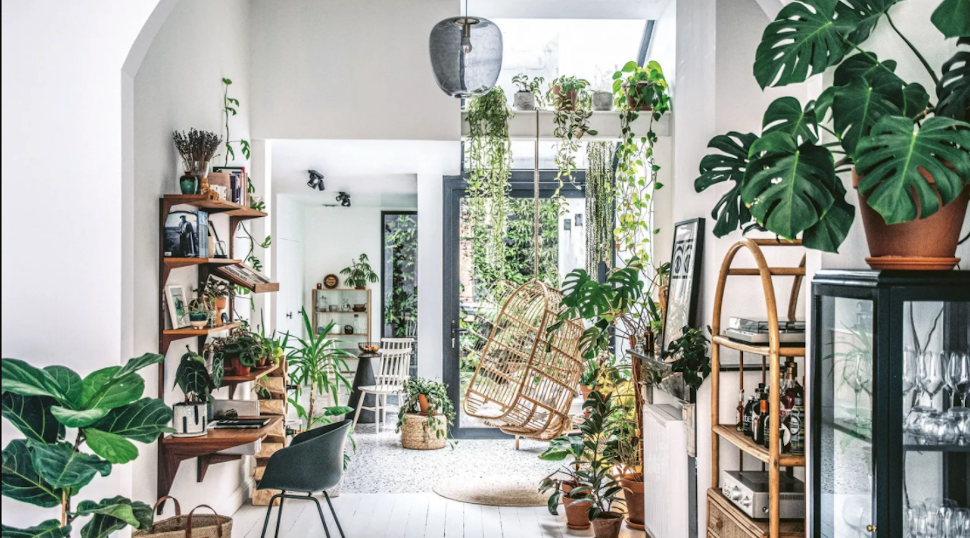 Σπίτι στην Αμβέρσα με φυτά εσωτερικού χώρου, φωτογραφία: Hilton Carter/ CICO Books
